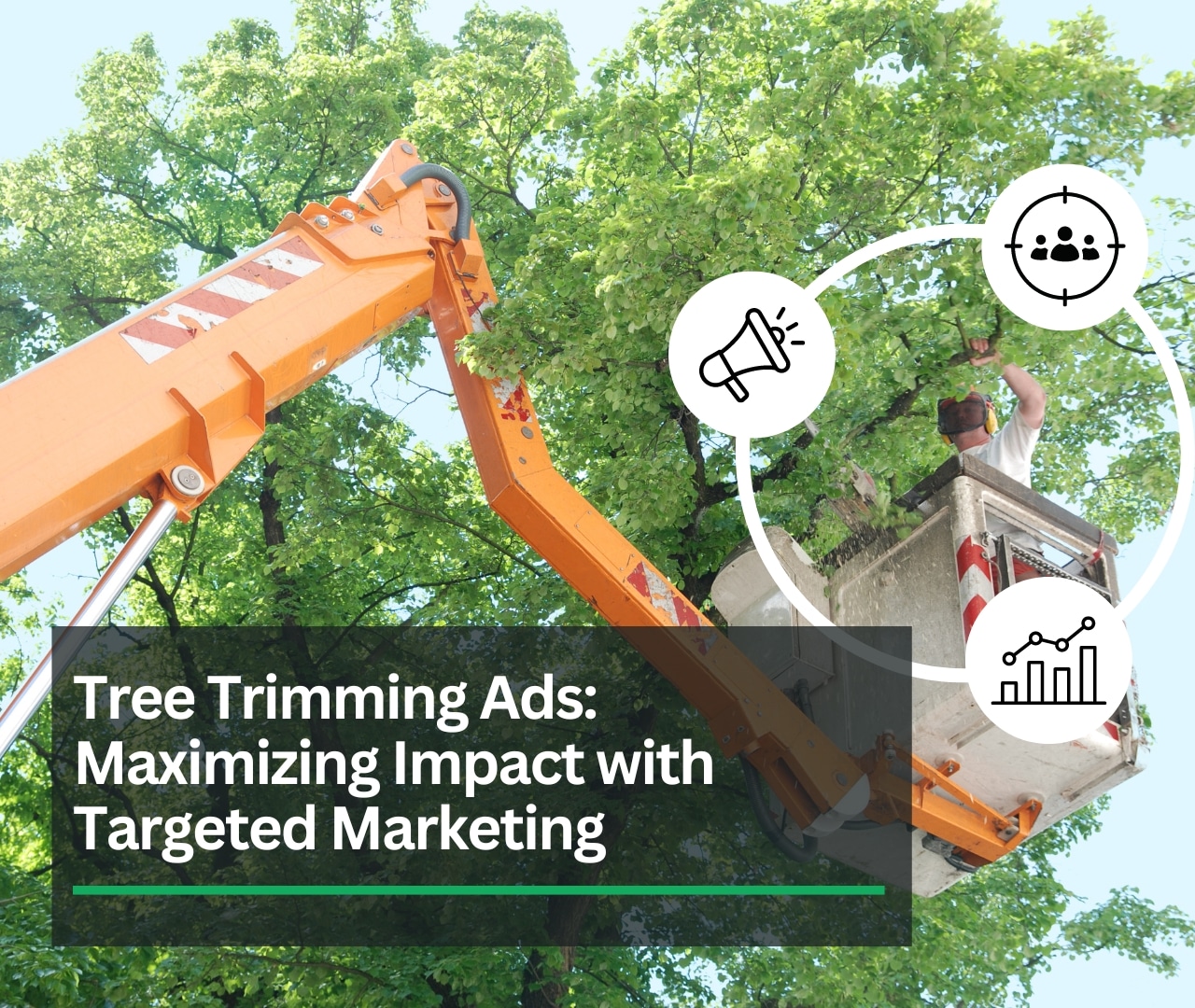 Tree Trimming Ads: Maximizing Impact with Targeted Marketing