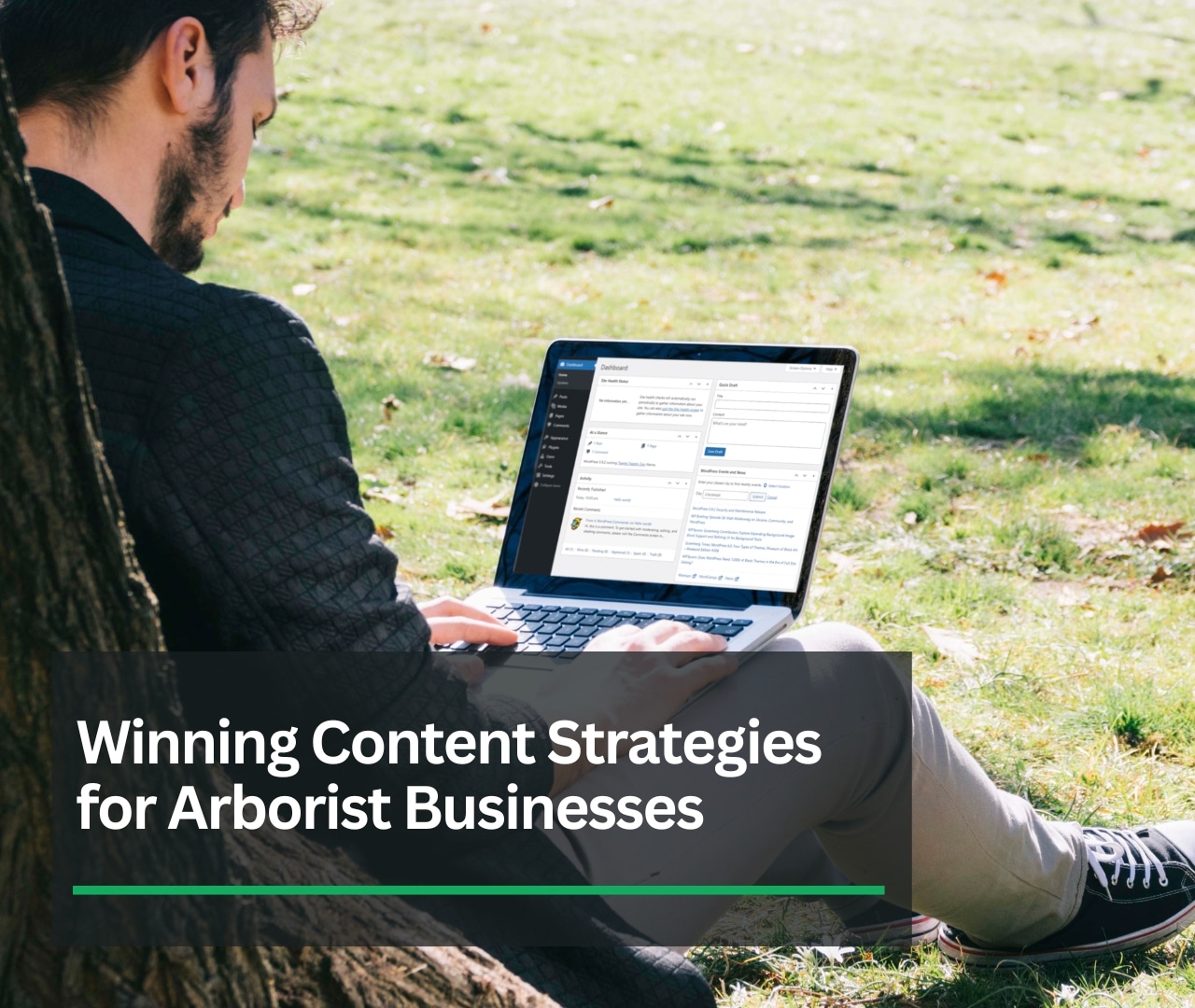 Content Strategies for Arborist Businesses: A Winner's Guide