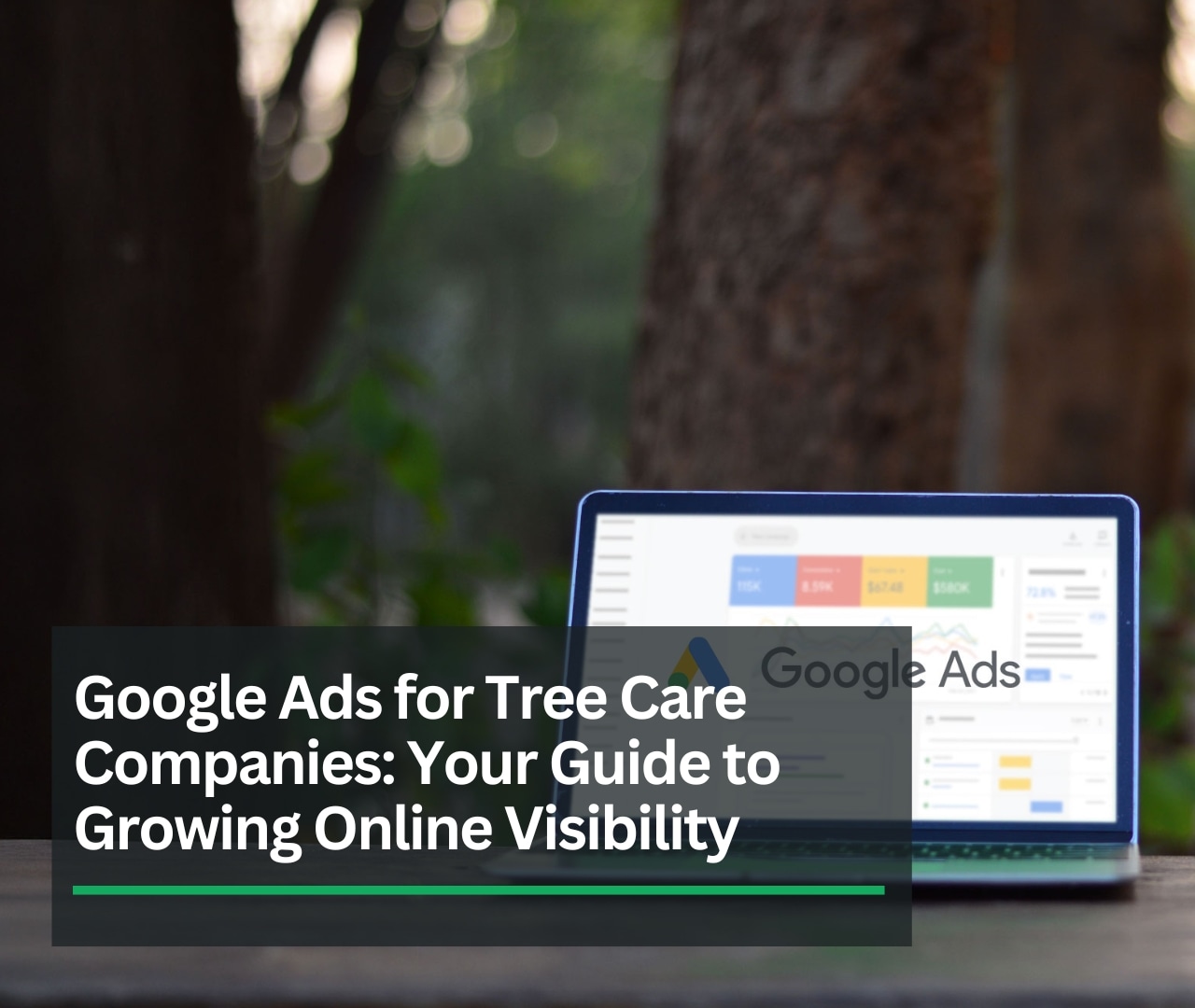 Google Ads for Tree Care Companies: A Guide