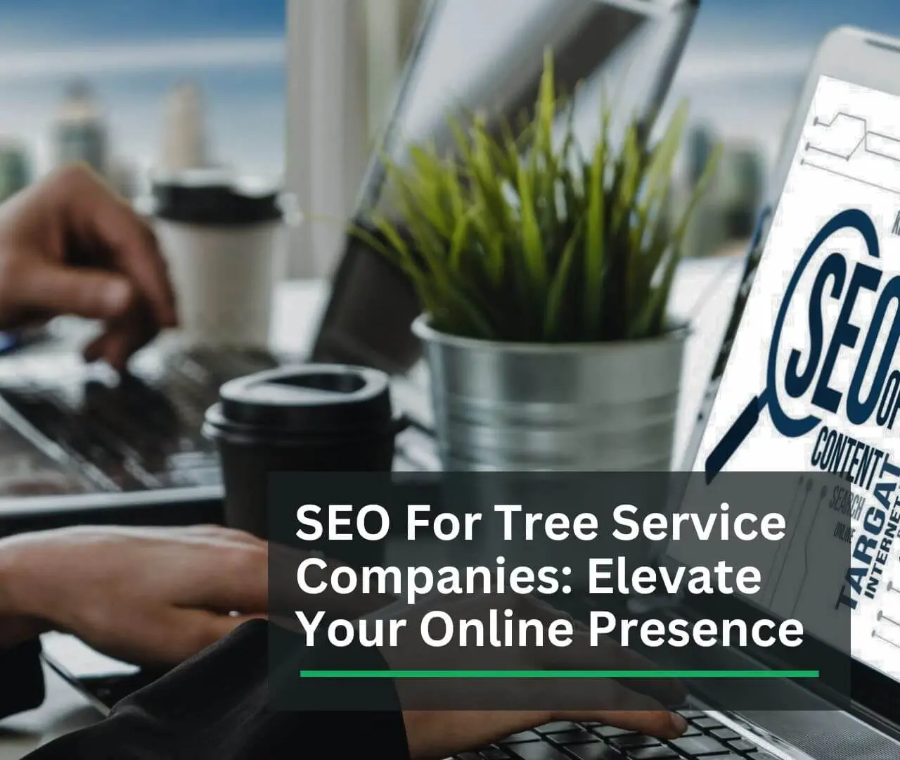 SEO For Tree Service Companies_ Elevate Your Online Presence