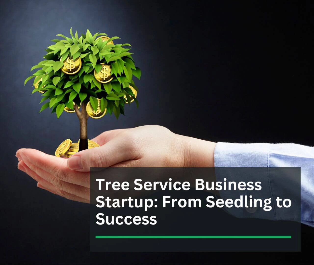 Tree-Service-Business-Startup-From-Seedling-to-Success