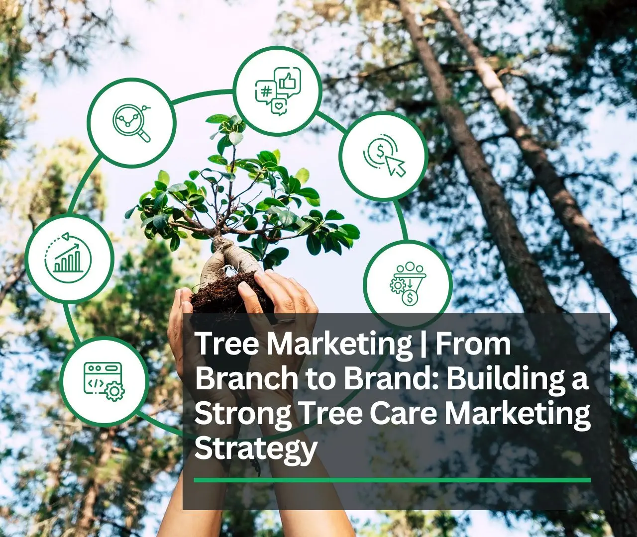 Tree Marketing | From Branch to Brand: Building a Strong Tree Care Marketing Strategy