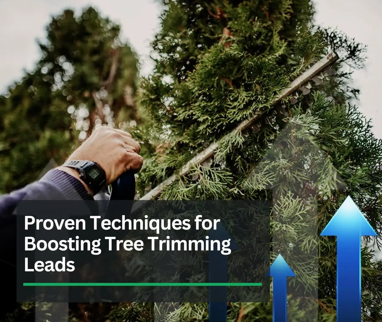 Proven Techniques for Boosting Tree Trimming Leads