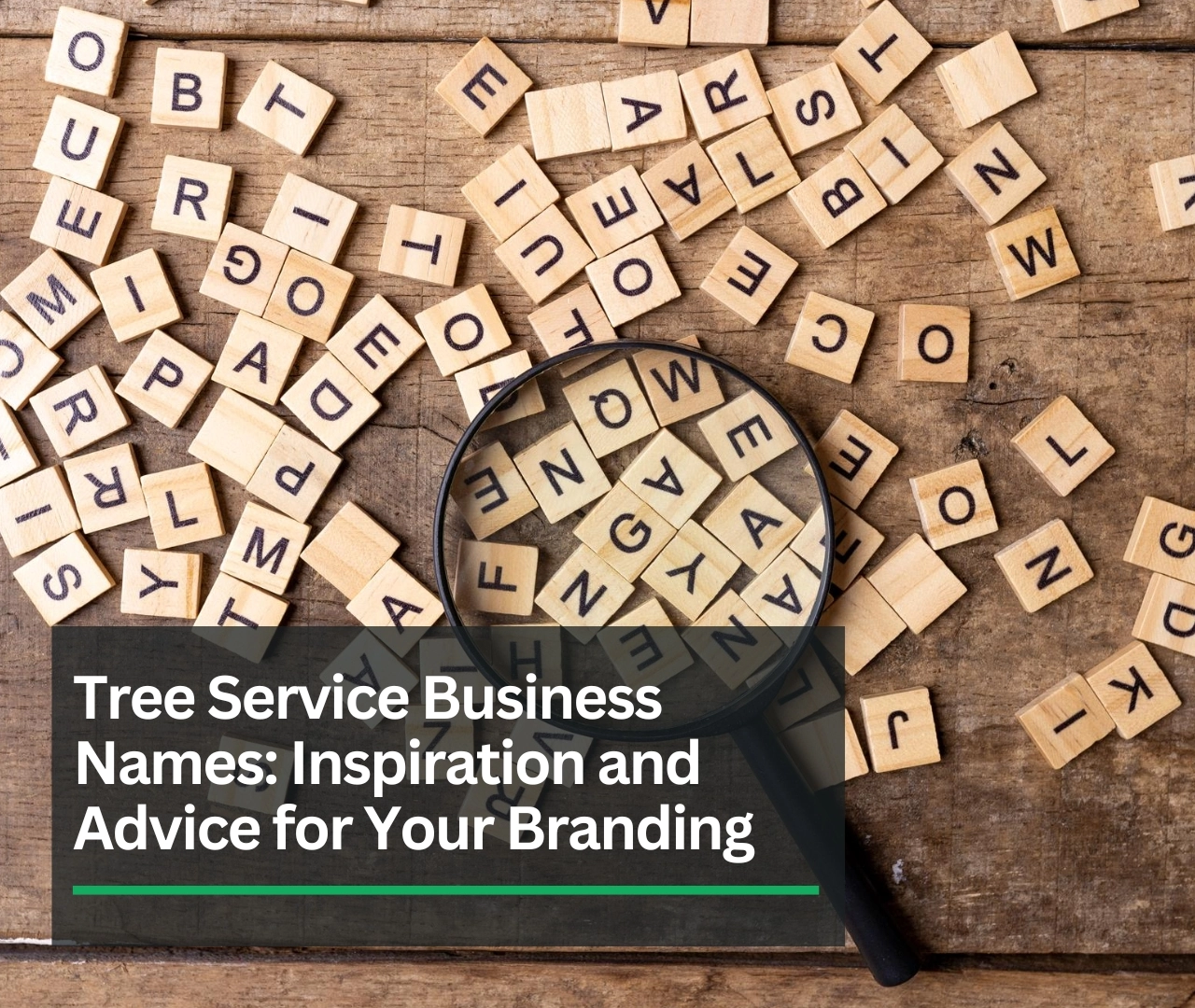 Tree Service Business Names Inspiration and Advice for Your Branding