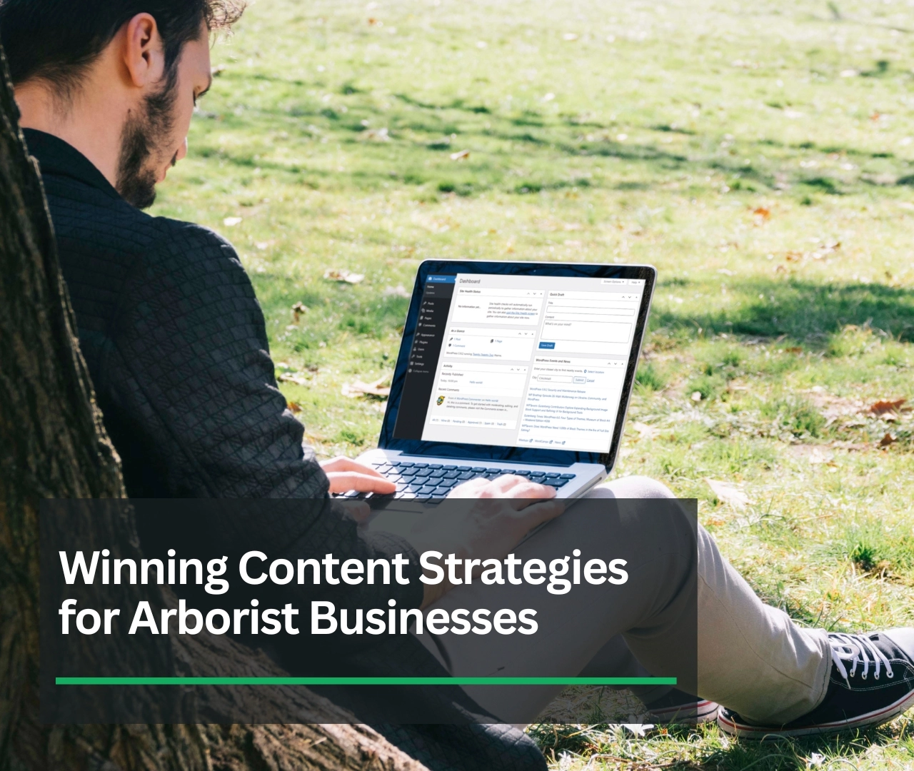 Content Strategies for Arborist Businesses: A Winner's Guide