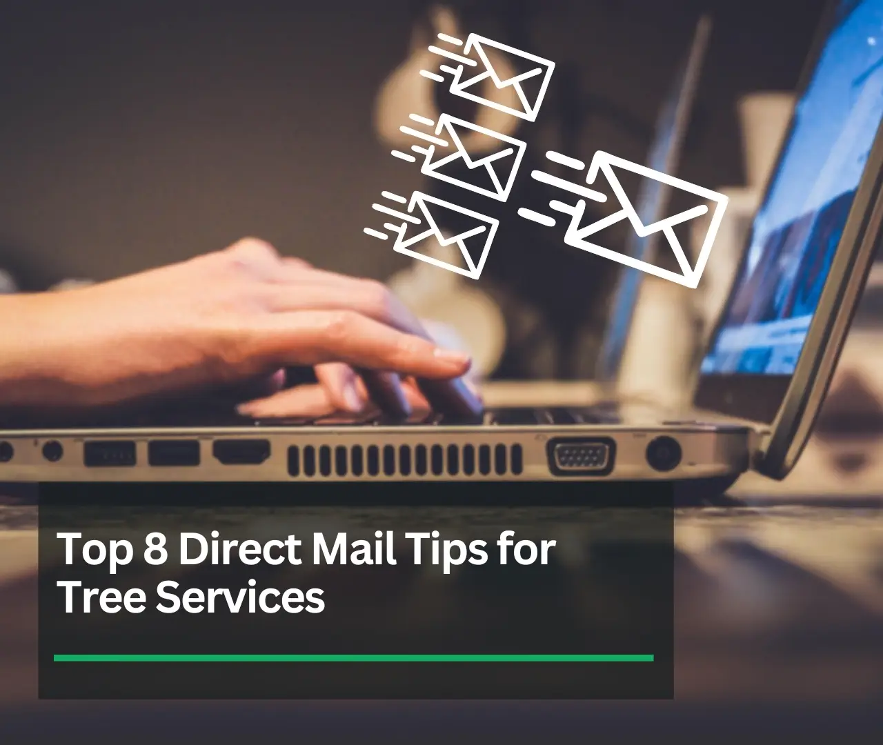 Tree Service Direct Mail Tips | Local Tree Service Marketing