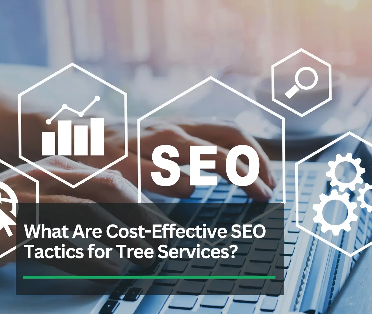 Cost-Effective SEO Tactics For Tree Services | Stand Out Online