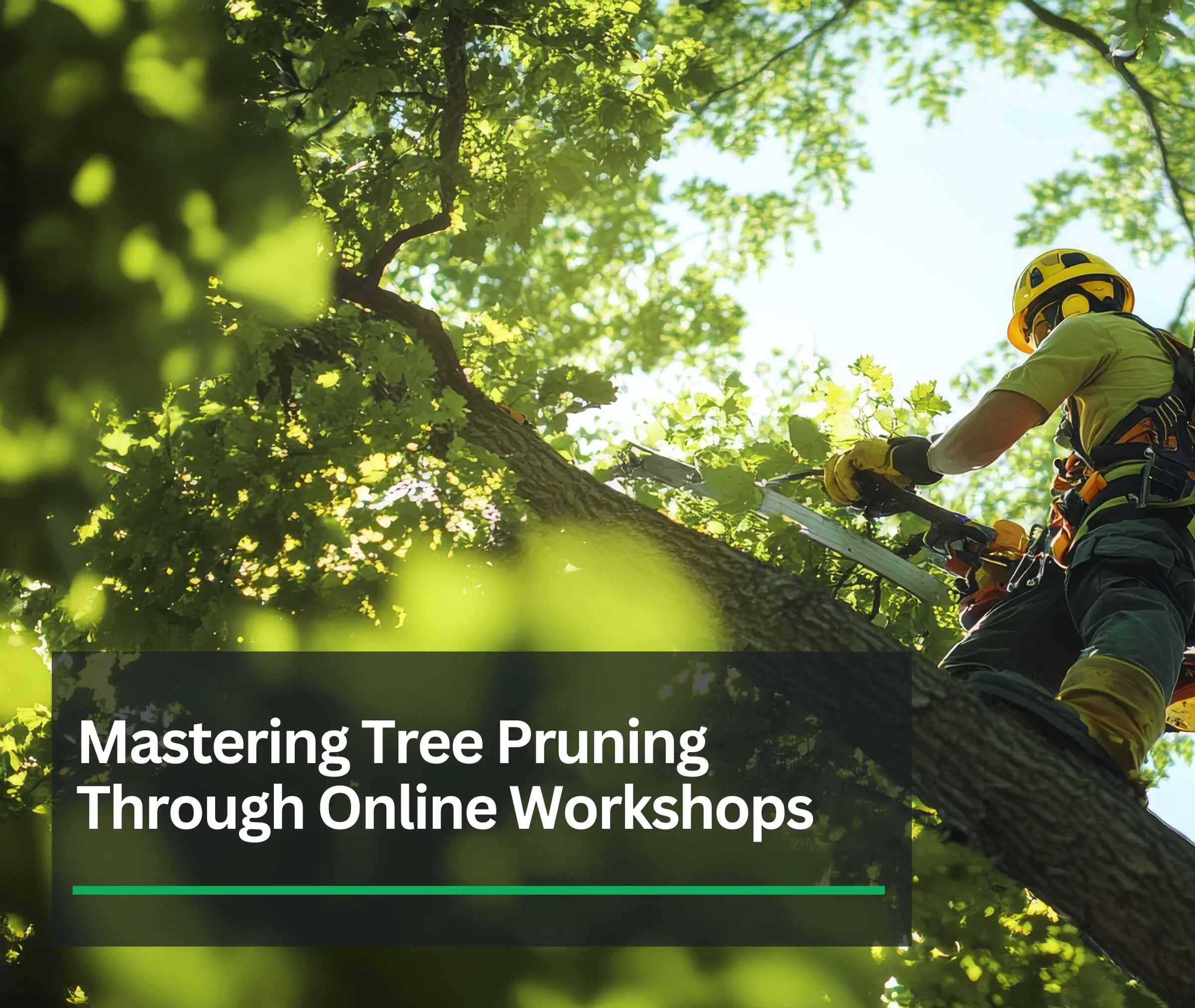 Mastering Tree Pruning Techniques Through Online Workshops