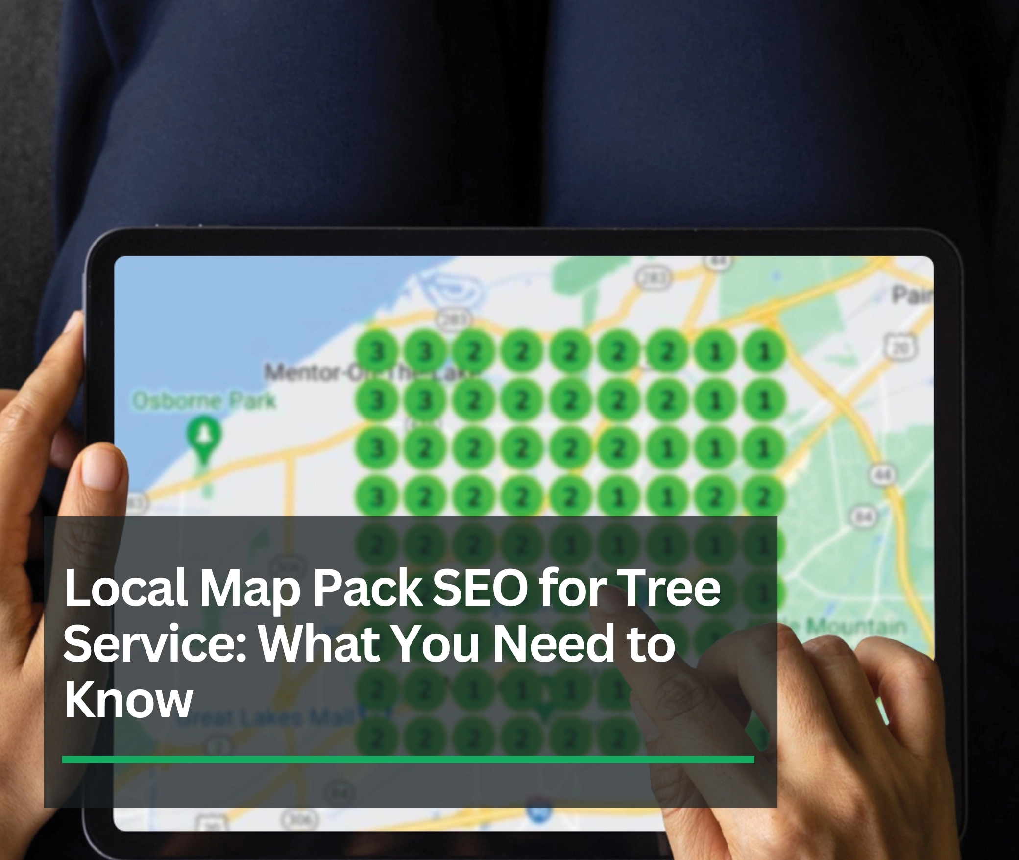 Local Map Pack SEO for Tree Service: What You Need to Know